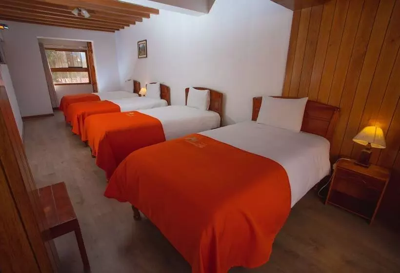 Fotos del hotel Centenario Inn:  19