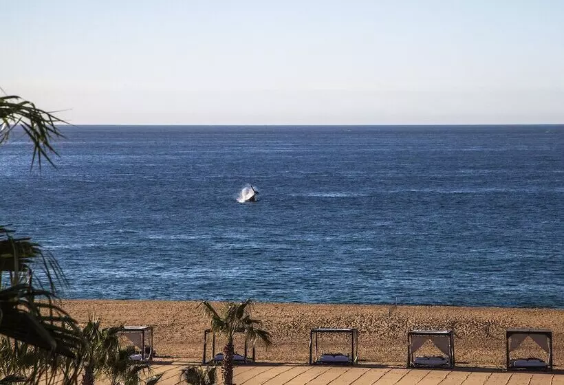 Fotos del hotel The Towers At Pueblo Bonito Pacifica All Inclusive:  15