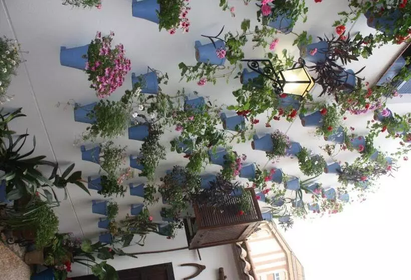 Fotos del hotel La Posada Del Infante:  23