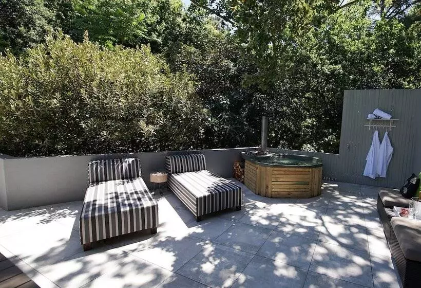 Fotos del hotel Silver Forest Boutique Lodge And Spa:  4