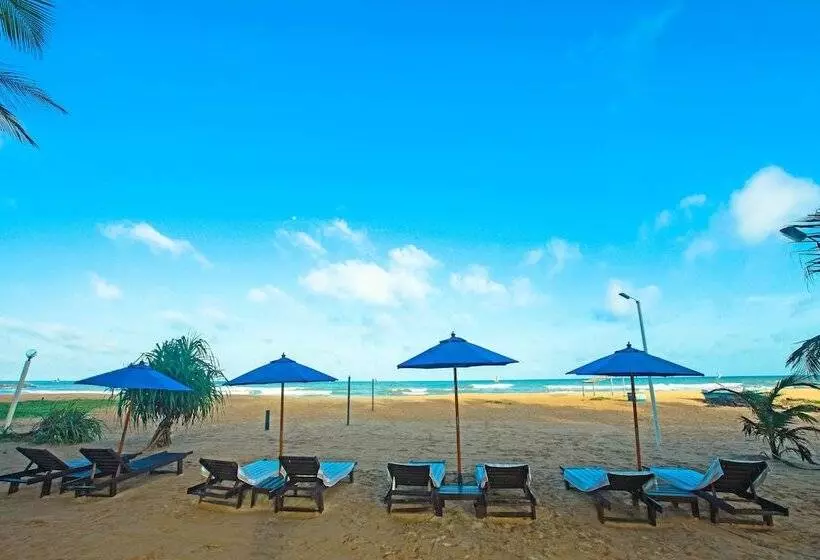 Fotos del hotel Beacon Beach Negombo:  7