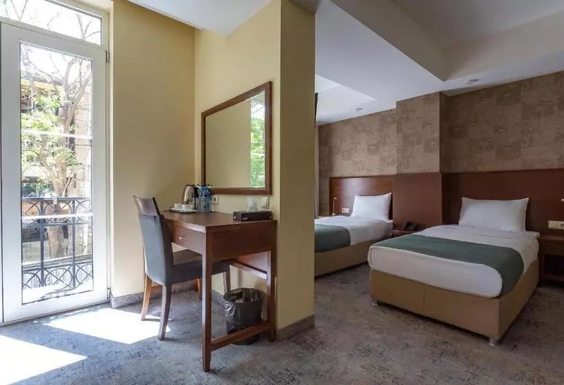 Fotos del hotel Opera Tbilisi Old Art Boutique:  2