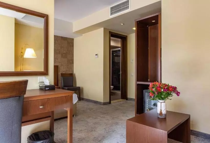 Fotos del hotel Opera Tbilisi Old Art Boutique:  15