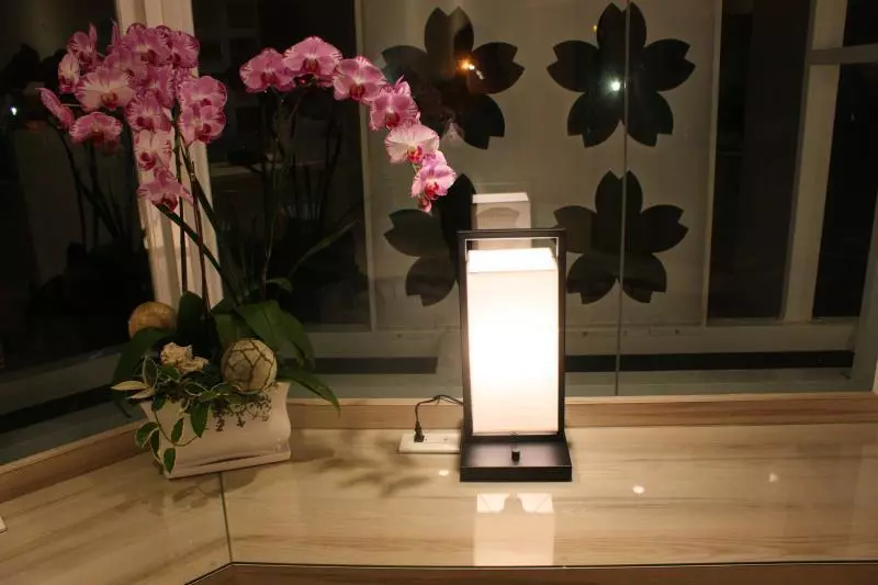 Fotos del hotel Shin Sei Bashi:  15