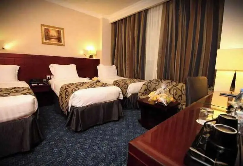 Fotos del hotel Al Rawda Al Aqeeq:  12