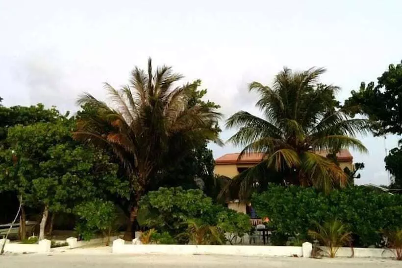 Fotos del hotel Island Cottage:  6