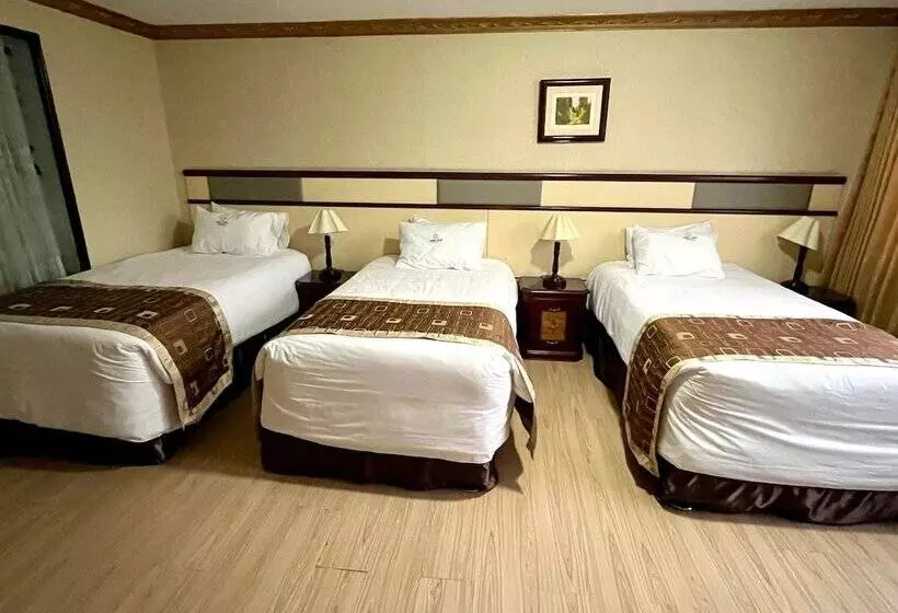 Fotos del hotel Oro Inn:  11