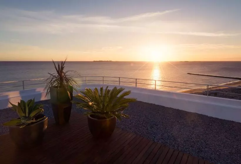 Fotos del hotel Dazzler By Wyndham Colonia:  20