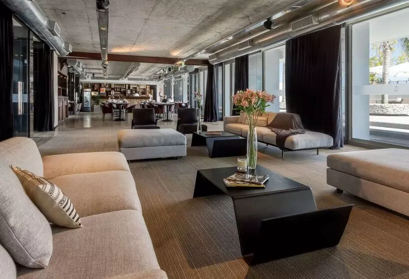 Fotos del hotel Dazzler By Wyndham Colonia:  13