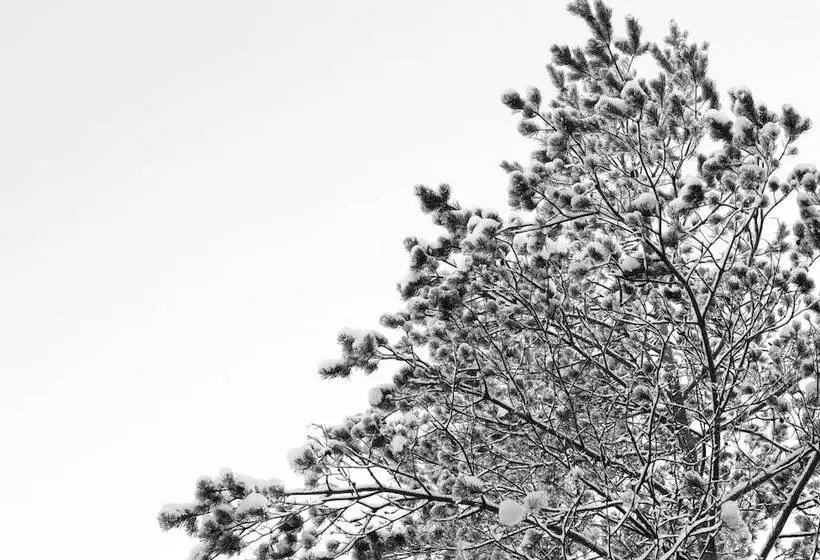 Fotos del hotel Li Nuuksio:  12