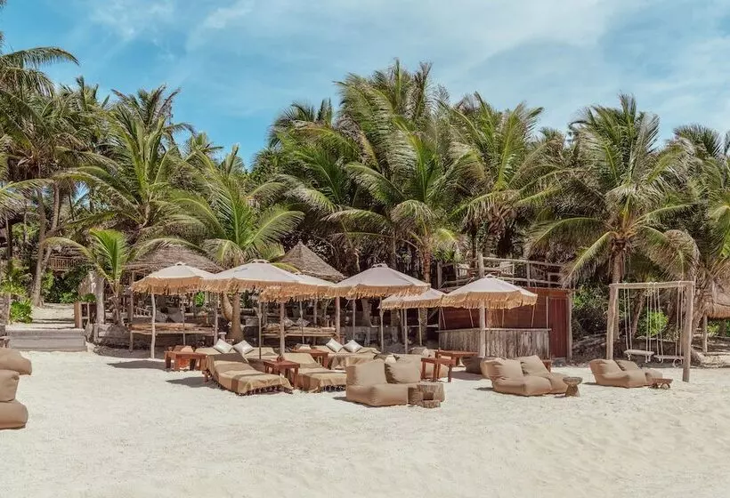Fotos del hotel Dos Ceibas Eco Retreat Tulum:  12