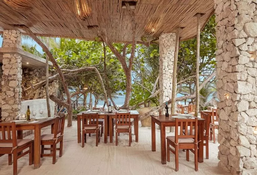 Fotos del hotel Dos Ceibas Eco Retreat Tulum:  21