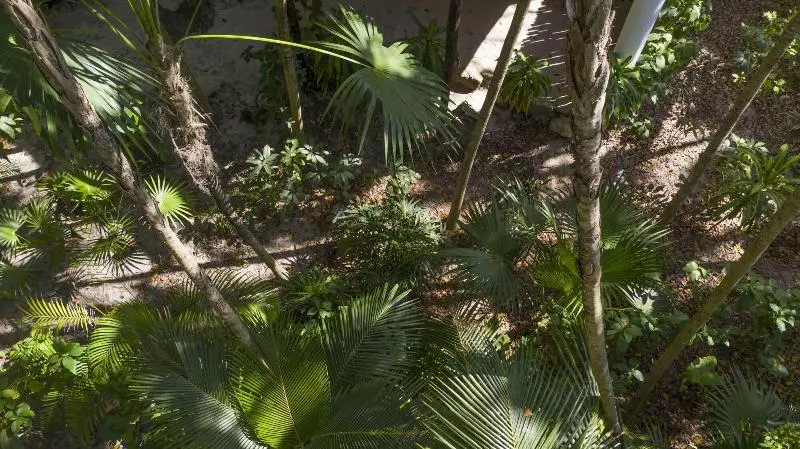 Fotos del hotel Dos Ceibas Eco Retreat Tulum:  10