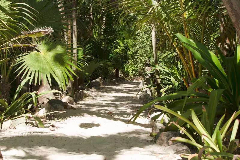 Fotos del hotel Dos Ceibas Eco Retreat Tulum:  4