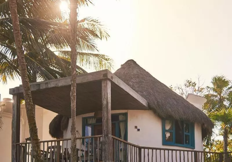 Fotos del hotel Dos Ceibas Eco Retreat Tulum:  9
