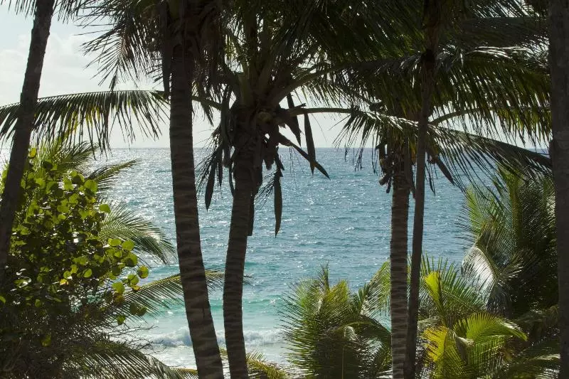 Fotos del hotel Dos Ceibas Eco Retreat Tulum:  6