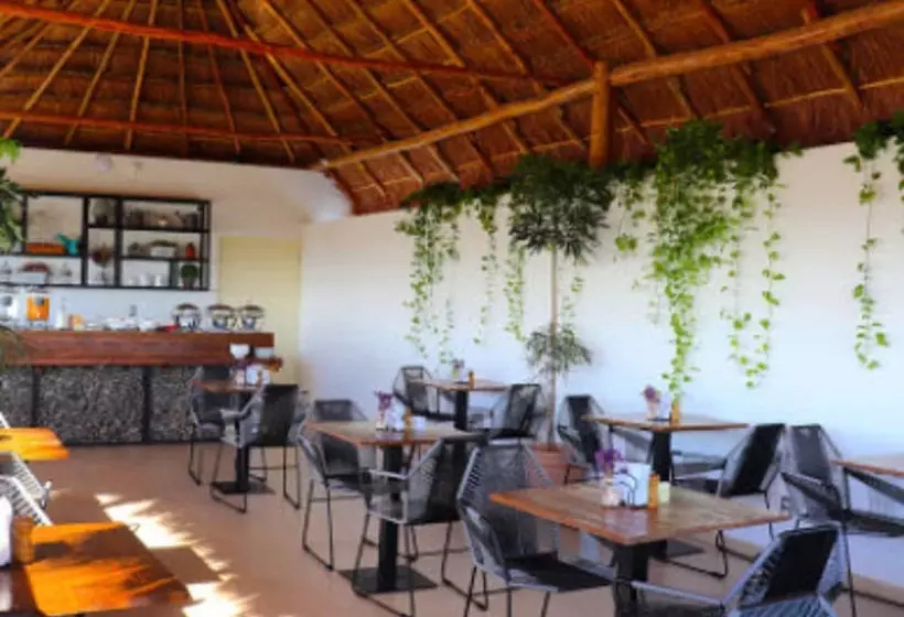 Fotos del hotel Elements Tulum Boutique:  5