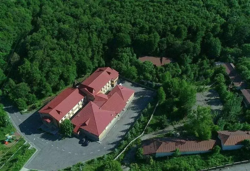 Fotos del hotel Tsaghkahovit:  18