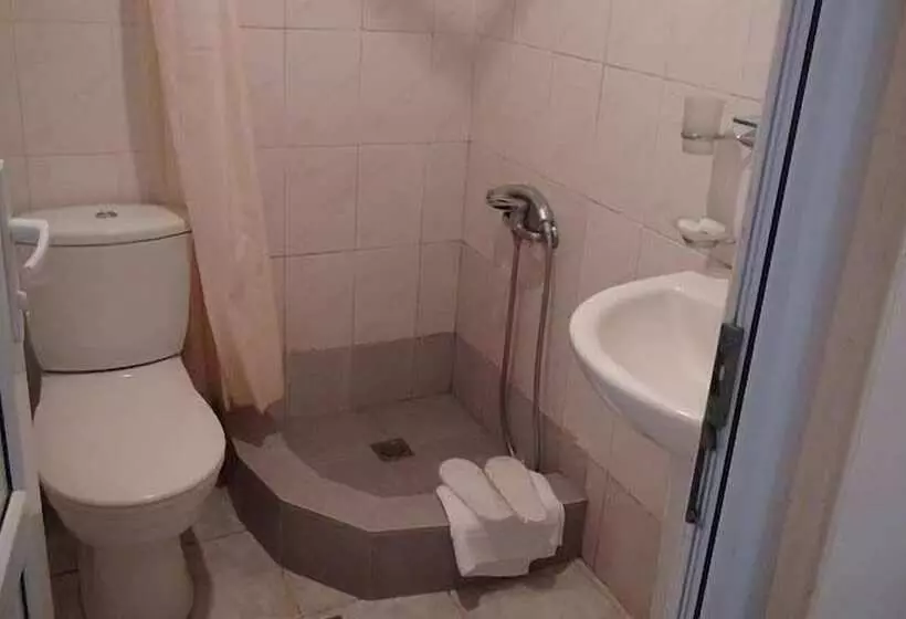 Fotos del hotel Tsaghkahovit:  20