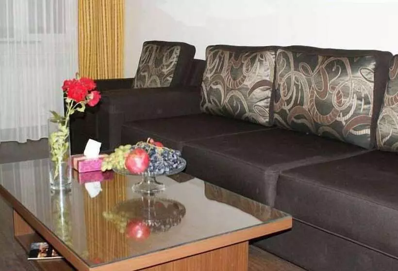 Fotos del hotel Tsaghkahovit:  15
