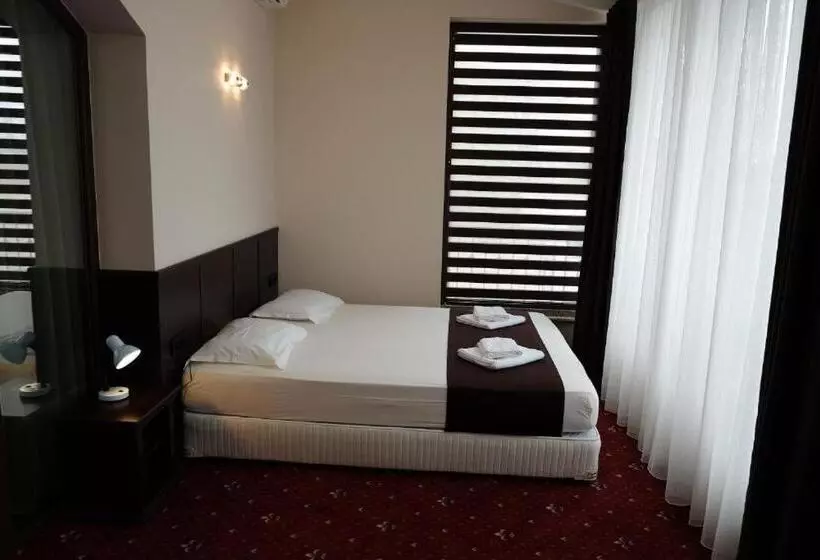 Fotos del hotel Spa Hotel Dragalevtsi:  2