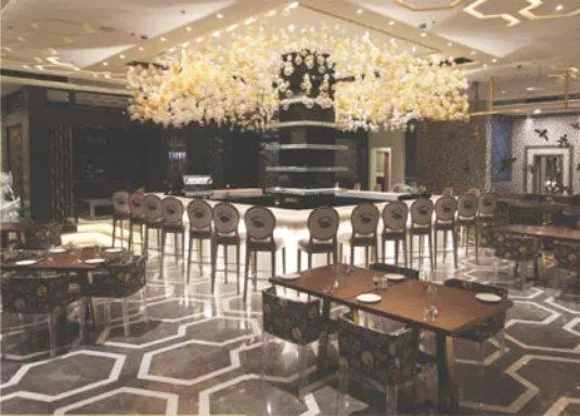 Fotos del hotel The  Hindusthan International:  8