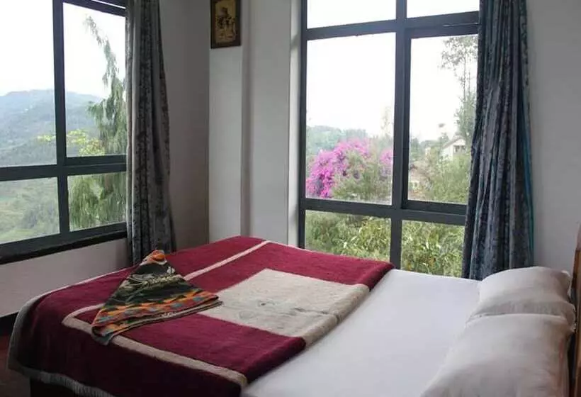 Fotos del hotel New Dragon:  11