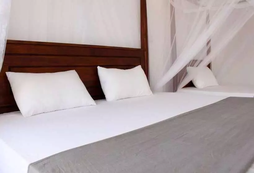 Fotos del hotel Orchid Rest Hotel Mirissa:  2
