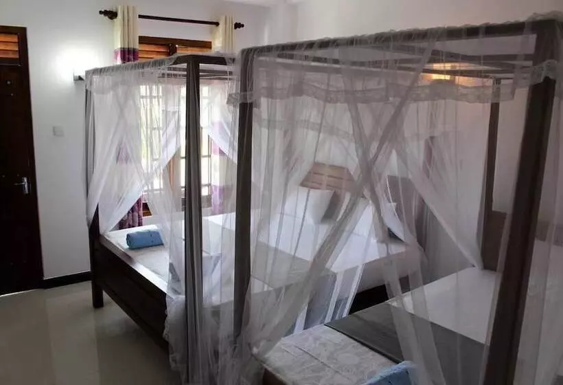 Fotos del hotel Orchid Rest Hotel Mirissa:  7