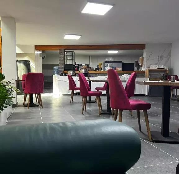 Fotos del hotel Aviation:  13