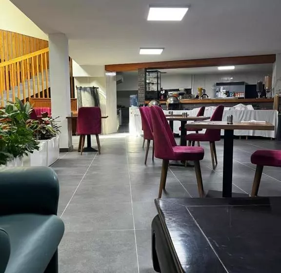 Fotos del hotel Aviation:  22