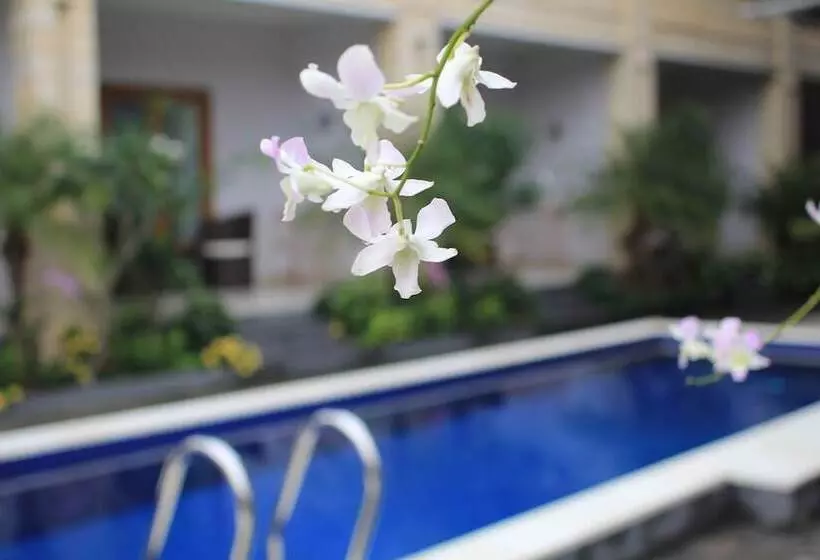 Fotos del hotel The Kutaya:  2