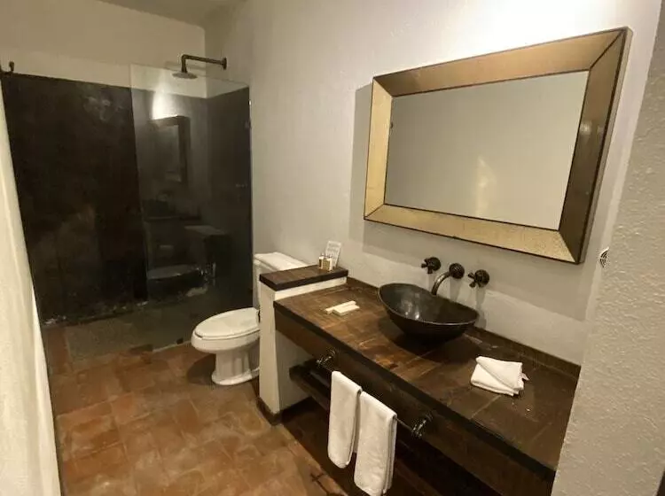 Fotos del hotel Hacienda El Salitre:  7