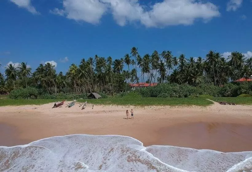 Fotos del hotel Green Parrot Beach Resort:  7