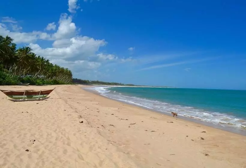 Fotos del hotel Green Parrot Beach Resort:  16