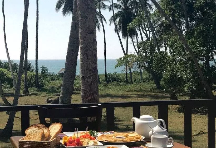 Fotos del hotel Green Parrot Beach Resort:  22