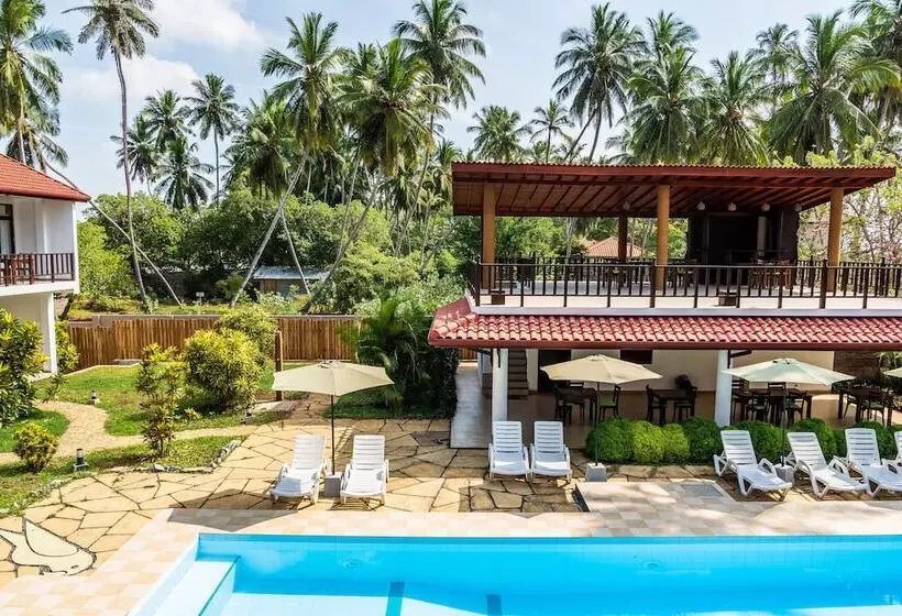 Fotos del hotel Green Parrot Beach Resort:  14