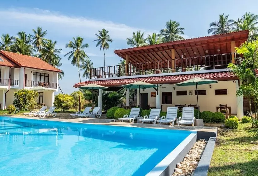 Fotos del hotel Green Parrot Beach Resort:  8