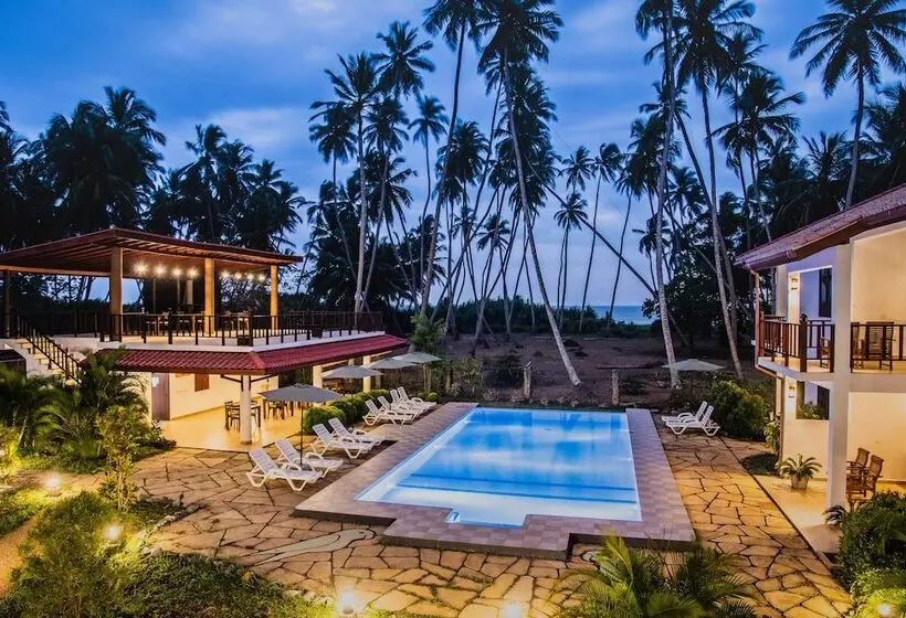 Fotos del hotel Green Parrot Beach Resort:  23