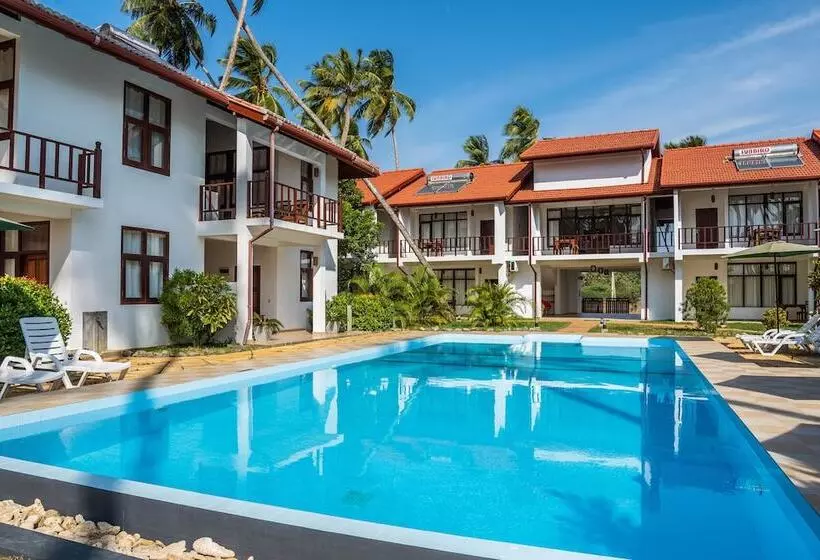 Fotos del hotel Green Parrot Beach Resort:  19