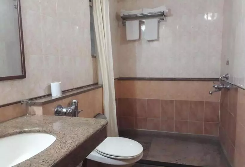Fotos del hotel The Samrat Hotel Near Pune Railway Station:  9