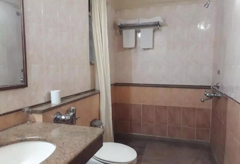 Fotos del hotel The Samrat Hotel Near Pune Railway Station:  5