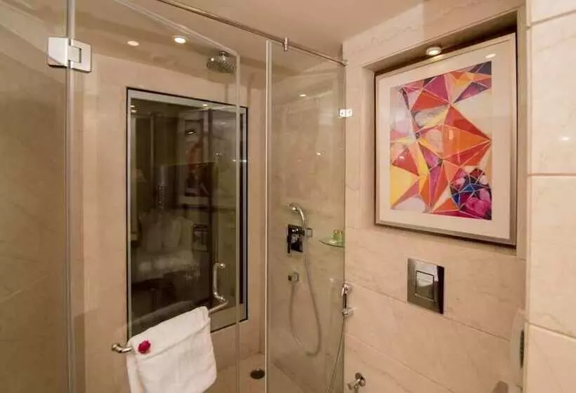 Fotos del hotel Shakun S And Resorts:  17