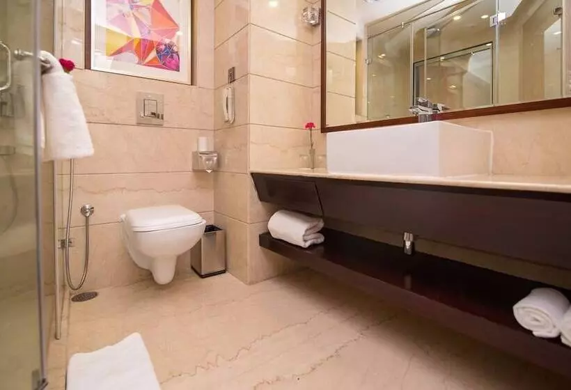Fotos del hotel Shakun S And Resorts:  10