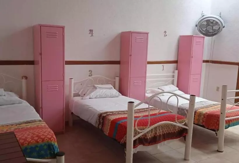 Fotos del hotel Hostal Santo Domingo:  14