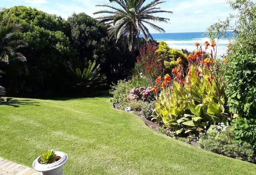Fotos del hotel Hermanus Beachfront Lodge:  10