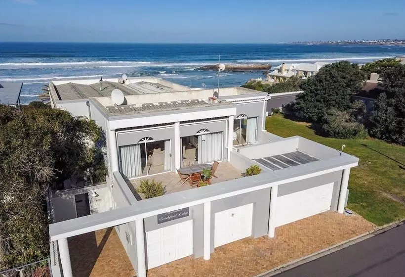 Fotos del hotel Hermanus Beachfront Lodge:  9