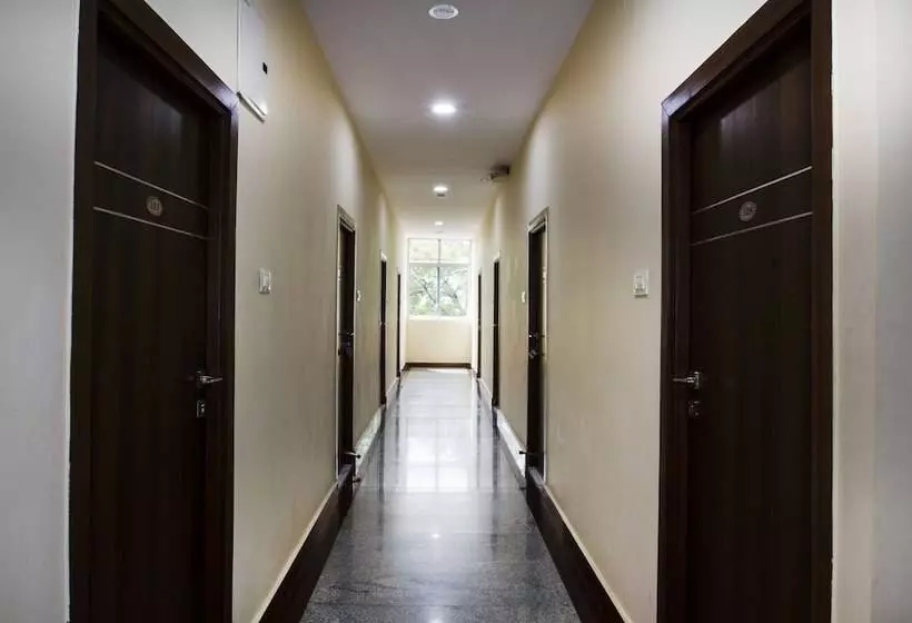 Fotos del hotel Royal Plaza:  8