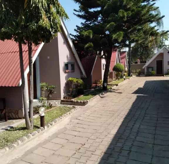 Fotos del hotel Sunset Junction Lodges & Tours:  7