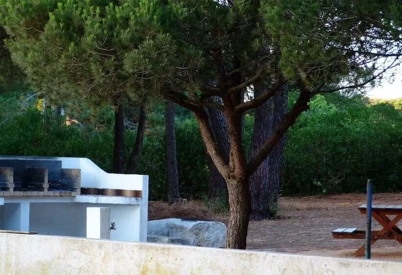 Fotos del hotel Parque De Campismo Orbitur Sagres:  13